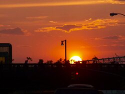 The sun is setting over the Highline Park in New York City.  The sky is golden.  Silhouettes of people walking through the setting sun. Stock Footage
