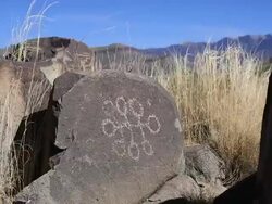 Petroglyphs Stock Footage