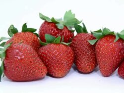 Rotting Strawberries Stock Footage