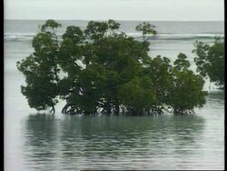 KIRIBATI: 1ST NATION TO ENTER THE NEW MILLENNIUM  (V) News Clip