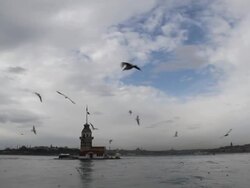 Maiden Tower And Seagulls Stock Footage