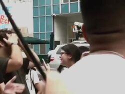 LGBTQ Couples Challenge Florida Ban On Same-Sex Marriage Stock Footage