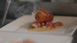 Gourmet chef places steaming lobster on bed of scallops in restaurant kitchen Stock Footage
