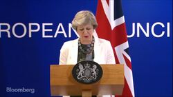 May Says Going Through Brexit Details 'Line by Line' News Clip