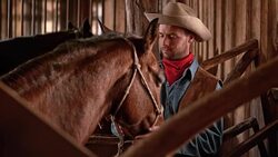 SLO MO Male rancher stroking his horse in stall Stock Footage