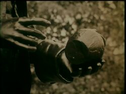 WEDGEWOOD EXHIBITION News Clip