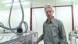 CLEAN: Scientists in N.Zealand try to tackle cow e News Clip