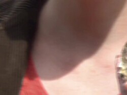 Virus Killing Out Oysters in Whitstable News Clip