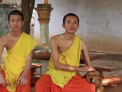 MS SLO MO Two buddhist monks sitting in yard with dog / Vientiane, Laos Stock Footage