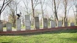 parkour Stock Footage