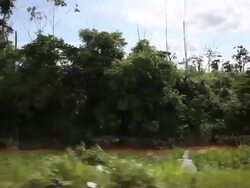 Illegal Gold Mining In Madre De Dios, Peru Stock Footage