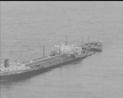 CONSERVATION YEAR News Clip