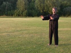 tai chi beginning Stock Footage