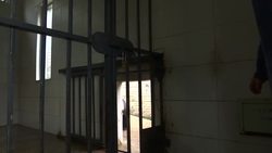 How to care for giant aging pandas News Clip