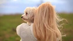 Girl take care of puppy Stock Footage