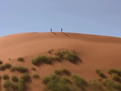 Dune_Namib 4 Stock Footage