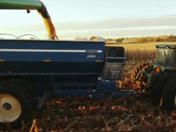The auger from a combine empties corn into a wagon as both drive down the field harvesting at sunrise. Stock Footage