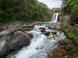 LOOPABLE: Tawhai Falls New Zealand Stock Footage