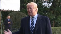 Trump on Flynn Guilty Plea: 'No Collusion' Instructional Video