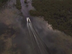 Extreme Long Shot aerial - An air boat cruises over waterways through the Everglades / Florida, USA Stock Footage