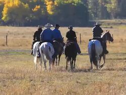 Cowboys and Cowgirls riding away Stock Footage