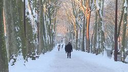 CLEAN : Ice and snow cover roads in the Paris region News Clip