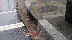 Into the Dead Zone: Urban Runoff and Sustainable Solutions Instructional Video