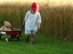 Little boy pulls a red wagon with teddy bear Stock Footage