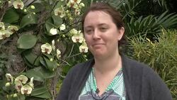 Preview for The New York Botanical Garden's exhibition 'The Orchid Show.' News Clip