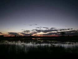 Stars over lake timelapse Stock Footage