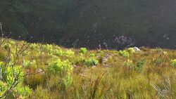 Mountain running at its best Stock Footage