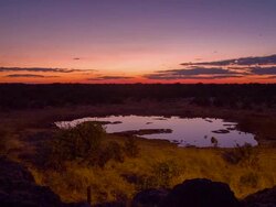 WS DS Insects On The Waterhole In Savannah Stock Footage