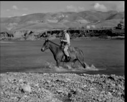 ARTIST TAKES ROOT News Clip