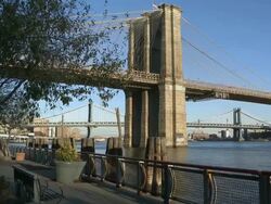 WS View of Brooklyn Bridge at park / New York City, New York, USA Stock Footage
