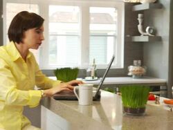 Woman in the kitchen Stock Footage