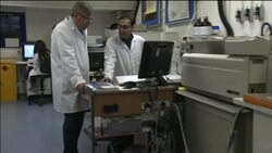 Can green tea enhance Olympic ahtletes'' performances? News Clip