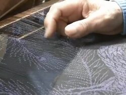 OSHIMA-TSUMUGI Stock Footage