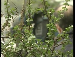 The body of Bruce Paltrow is moved from hospital morgue News Clip