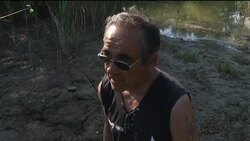 Environmentalists fear EU Danube plans may endanger fish News Clip