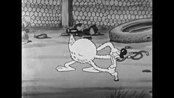 Chicken drills for worm on the farm and then puts it into a meat grinder to feed her chicks Stock Footage