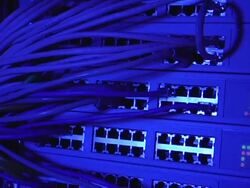 Ethernet Cables and Server in Blue light Stock Footage