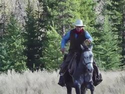 Cowboy galloping on horseback Stock Footage