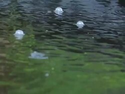 Rain pond close    NA Stock Footage