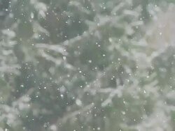 HD SLOW MOTION: Forest In Snowfall Stock Footage