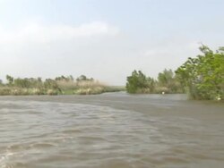 Mississippi River Banks & Oil Ships News Clip