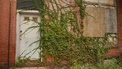 Deserted Building News Clip