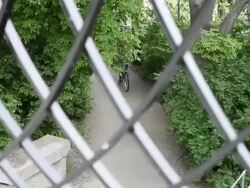 MS TU Two young girls having fun and riding bicycles in urban area near lake and inside park / Minneapolis, Minnesota, United States Stock Footage