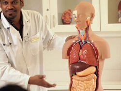 "medical educator instructing a class/Richmond,Virginia, USA" Stock Footage