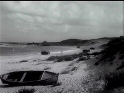 PALESTINE TROUBLE CONTINUES News Clip