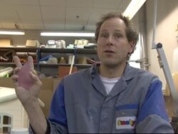 Uncertain future for France's biggest toymaker News Clip